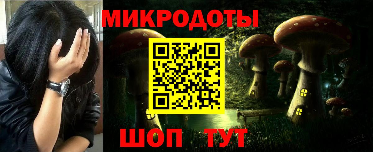 Дмитров  Псилоцибиновые грибы прущие грибы  Вход с VPN 
