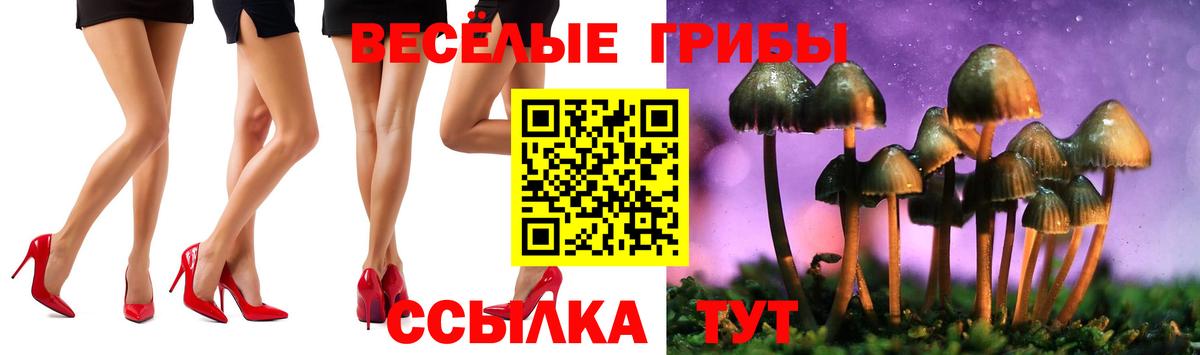 Псилоцибиновые грибы прущие грибы Дмитров